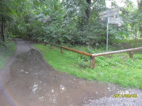 tl_files/montagsrunde/_wsb_478x357_14_Matsch+und+Pf$C3$BCtze+auf+Gehweg-Ecke.jpg